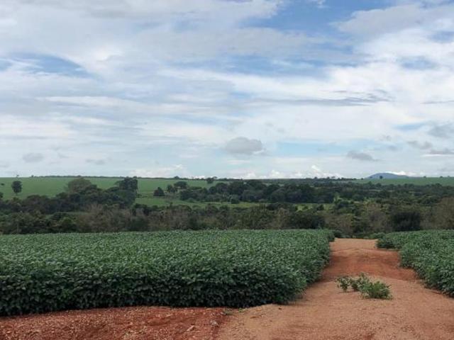 Fazenda para Venda em Guarda Mor, Zona Rural