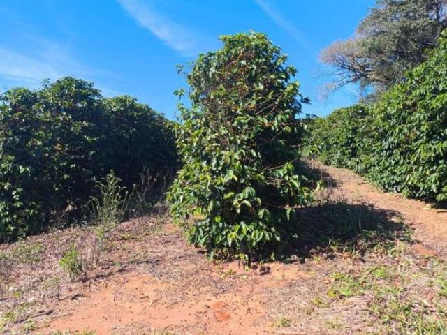 Fazenda para Venda em Guaxupé, 1 dormitório, 1 banheiro, 1 vaga