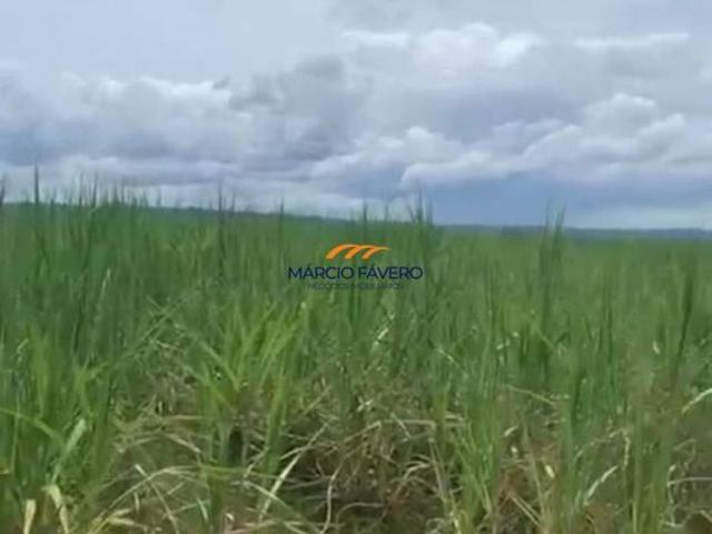Fazenda para venda em Dois Córregos