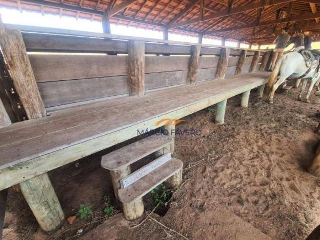 Fazenda para venda em Dois Córregos