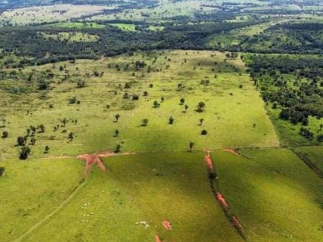 Fazenda para Venda em Dom Aquino, Dom Aquino, 4 dormitórios, 4 banheiros