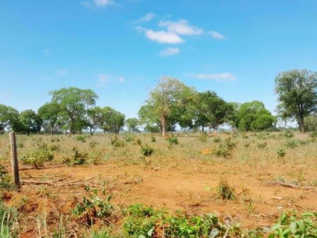 Fazenda para Venda em Dom Bosco, Zona Rural