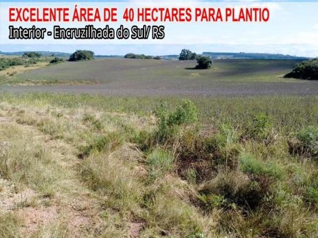Sítio para venda em Encruzilhada do Sul