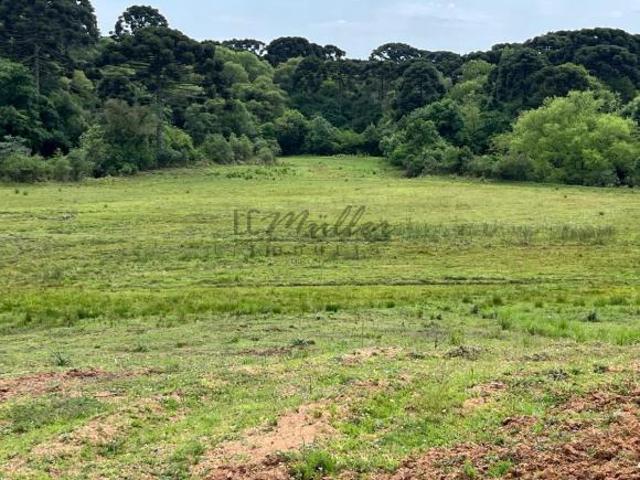 Fazenda para venda em Encruzilhada do Sul
