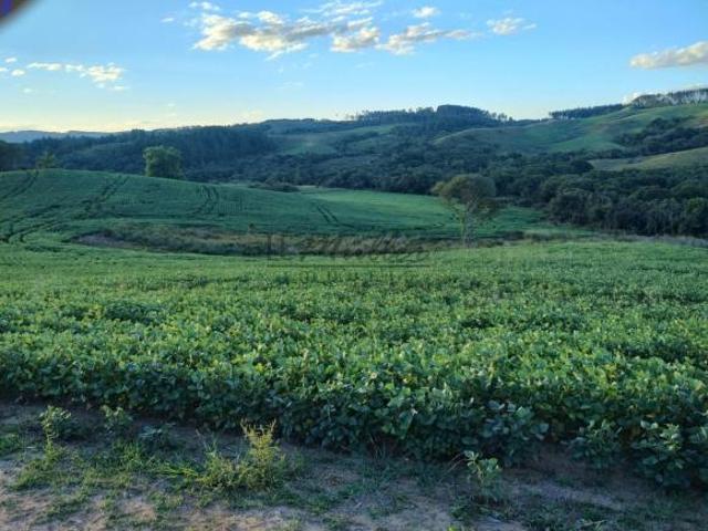 Fazenda para venda em Encruzilhada do Sul
