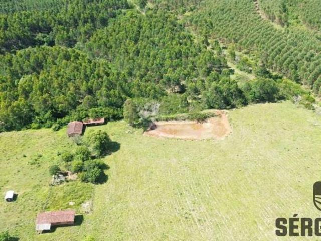 Fazenda para venda em Eldorado do Sul