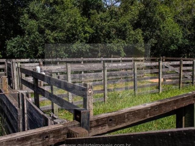 Fazenda para venda em Estância Grande, Viamão