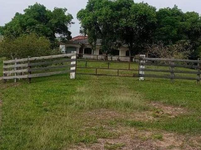 Fazenda para venda em Figueira