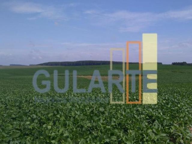 Fazenda para venda em Independência, São Gabriel