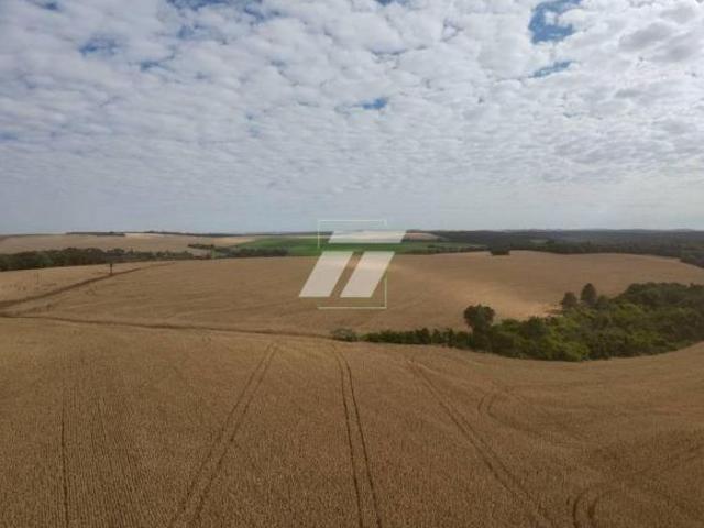 Fazenda para venda em Ibema