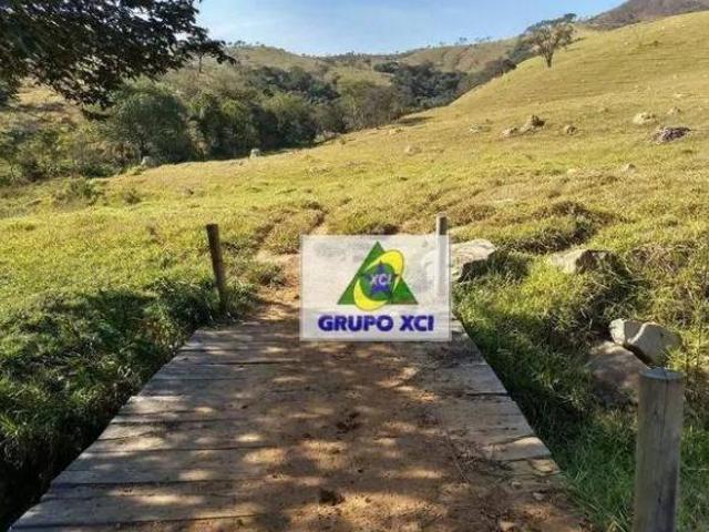 Fazenda para venda em Ilicínea
