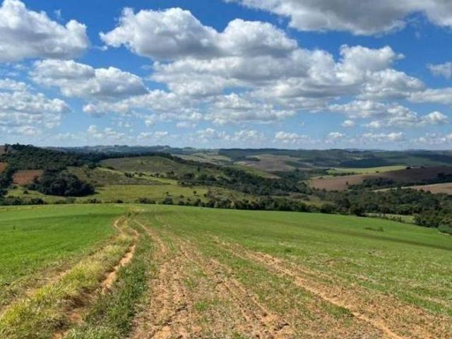 Fazenda para venda em Ipeúna