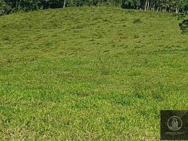 Fazenda para venda em Iporanga