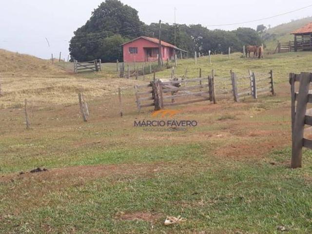 Fazenda para venda em Itaporanga