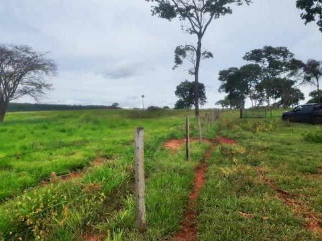 Fazenda para Venda em Itapagipe, Zona Rural