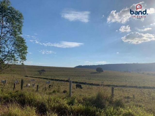 Fazenda para venda em Itatinga