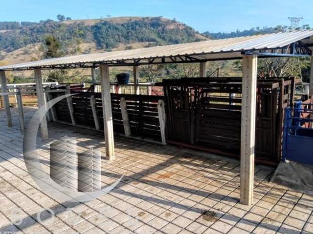 Fazenda para Venda em Itirapina, Itaqueri, 4 dormitórios, 2 suítes, 4 banheiros, 3 vagas