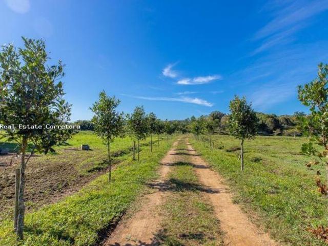 Fazenda para Venda em Jacupiranga, Zona Rural, 1 dormitório, 1 suíte, 1 banheiro, 99 vagas