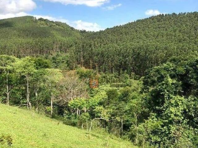Fazenda para venda em Jambeiro