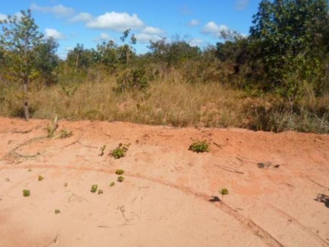 Fazenda para Venda em Januária, Zona Rural
