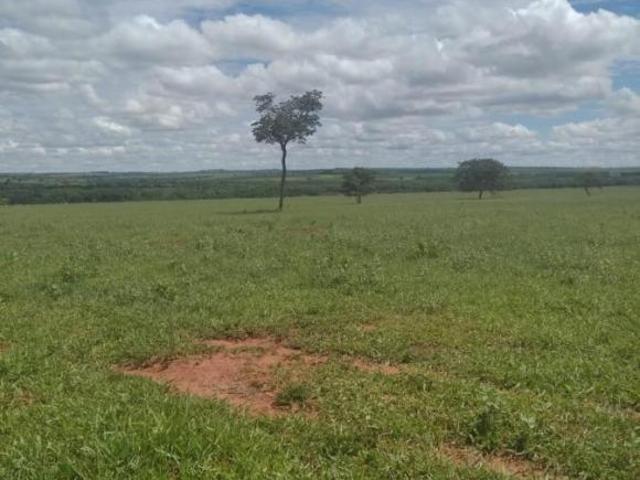 Fazenda para Venda em Junqueirópolis, Zona Rural