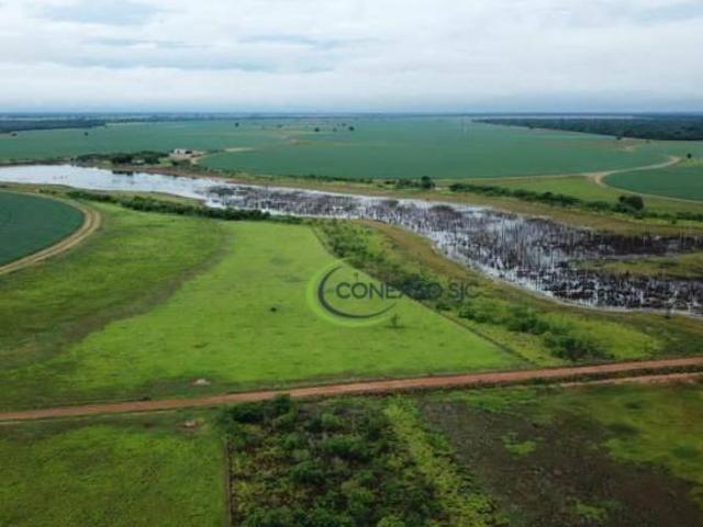 Fazenda para venda em Jussara