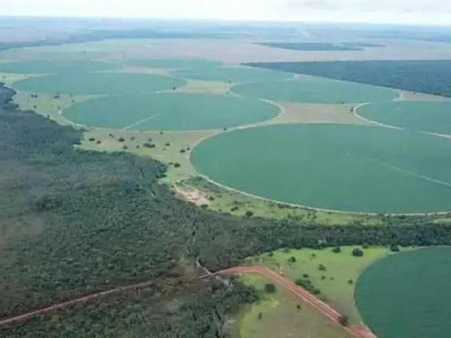 Fazenda para Venda em Jussara, Zona Rural