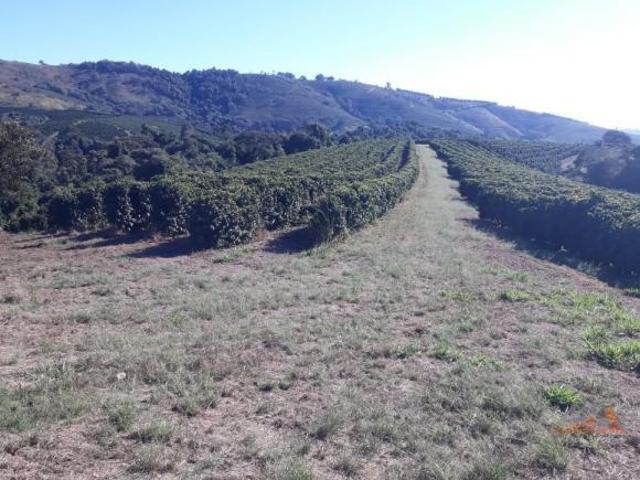 Fazenda para Venda em Ouro Fino