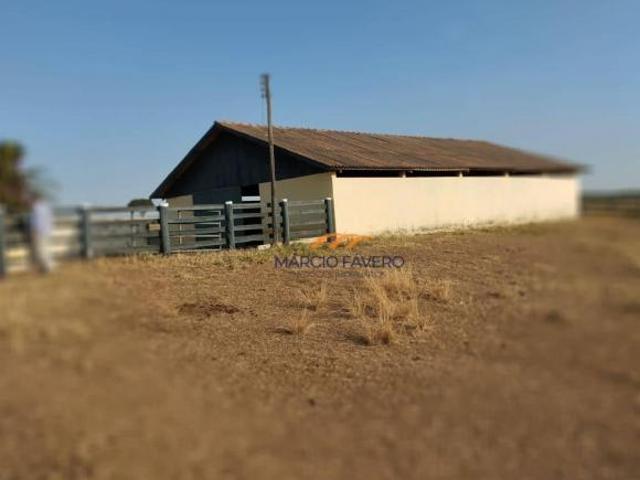 Fazenda para venda em Lins