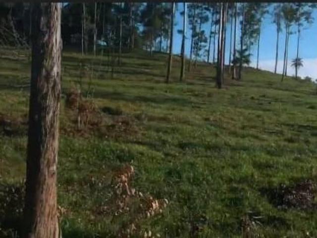 Fazenda para Venda em Mococa, RURAL