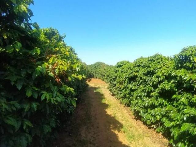Fazenda para Venda em Monte Carmelo, Zona Rural
