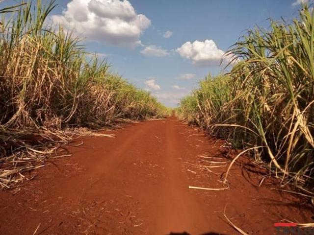 Fazenda para Venda em Morro Agudo, RURAL