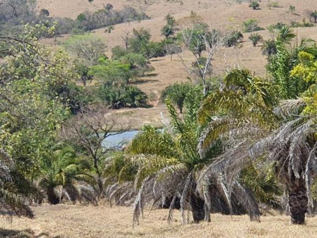 Fazenda para Venda em Morrinhos, Zona Rural
