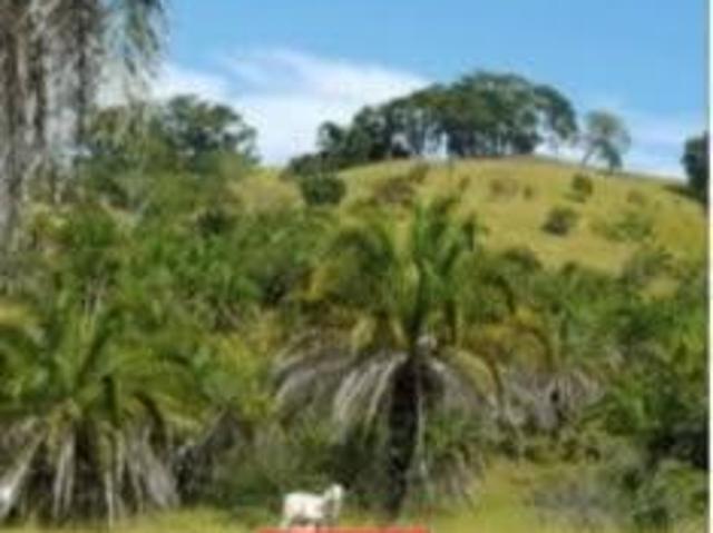 Fazenda para Venda em Morrinhos