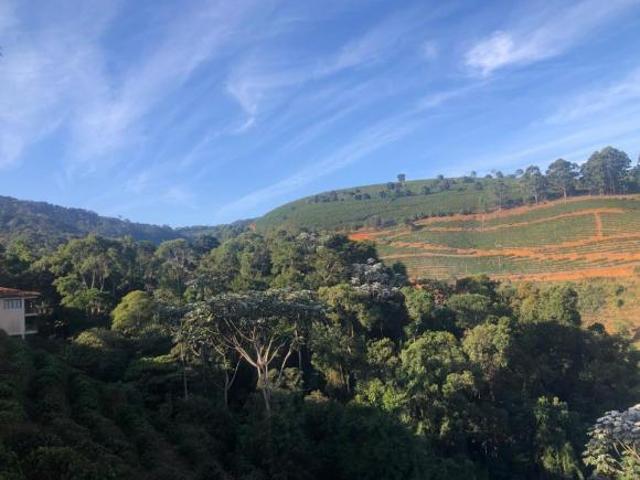 Fazenda para Venda em Manhuaçu, Área Rural de Manhuaçu