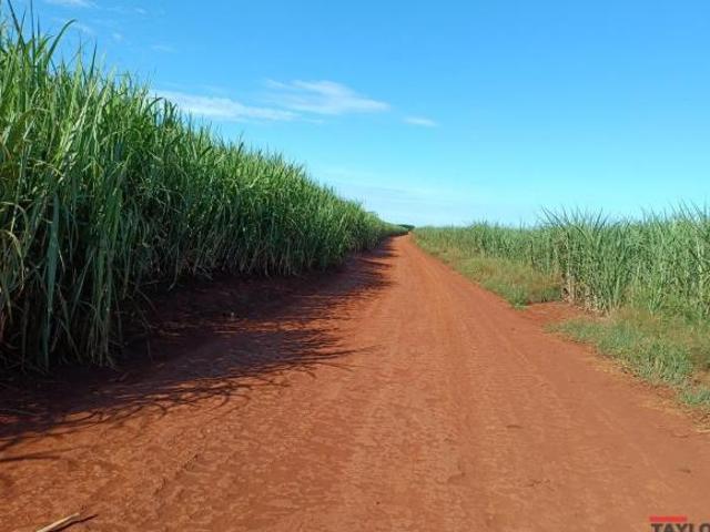 Fazenda para Venda em Miguelópolis, RURAL