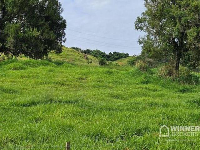 Fazenda para venda em Nova Tebas