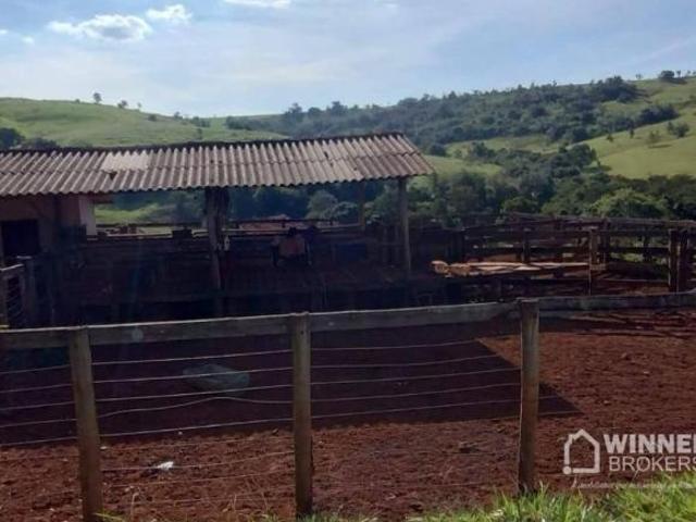 Fazenda para venda em Nova Fátima