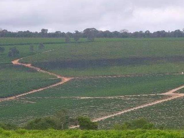 Fazenda para Venda em Novo Cruzeiro, Zona Rural