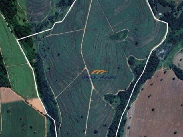 Fazenda para venda em Nhandeara