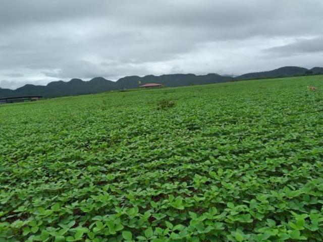 Fazenda para Venda em Niquelândia, Zona Rural