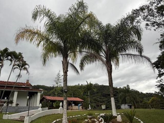 Fazenda para venda em São Benedito, Guaratinguetá