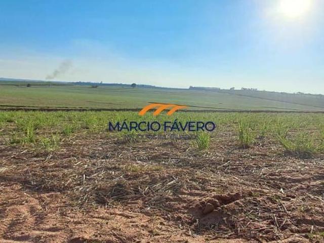 Fazenda para venda em Brotas