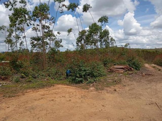 Fazenda para venda em São João Del Rei