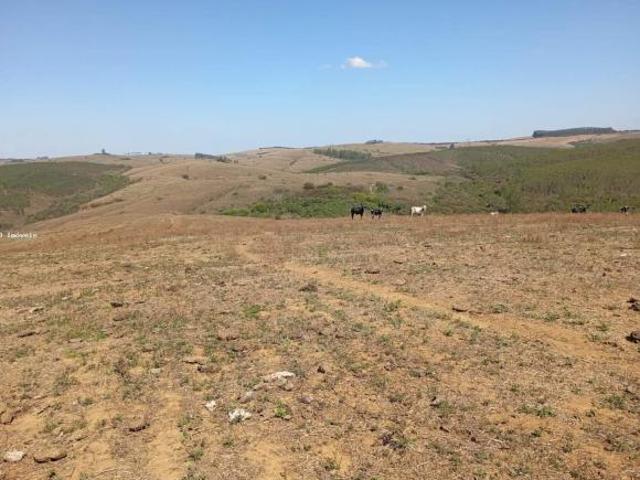 Fazenda para venda em São João Del Rei