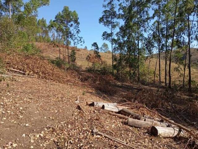 Fazenda para venda em São João Del Rei
