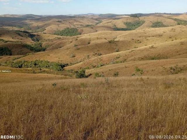 Fazenda para venda em São João Del Rei