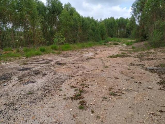 Fazenda para venda em São João Del Rei
