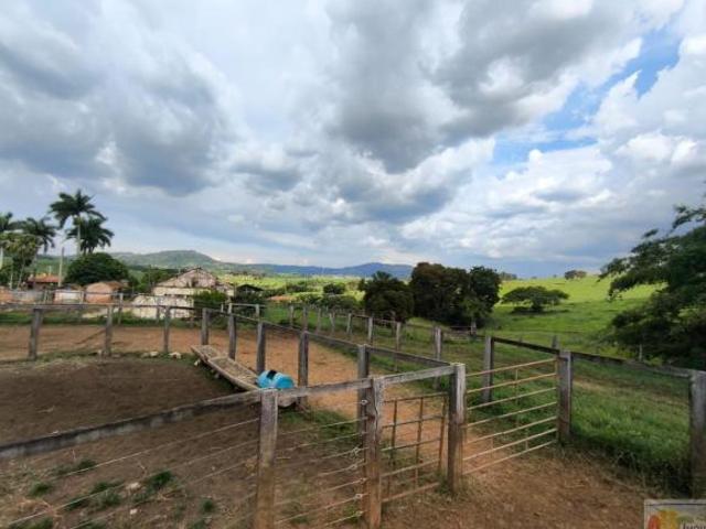 Fazenda para Venda em São José do Rio Pardo, rural, 3 dormitórios, 2 banheiros, 1 vaga