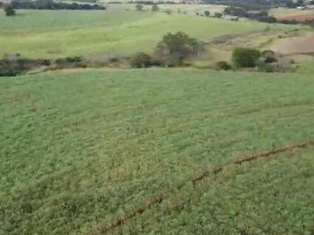 Fazenda para Venda em São Paulo, Zona Rural
